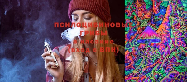 метадон Михайлов