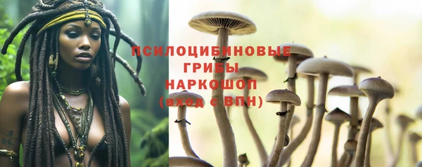 метадон Михайлов