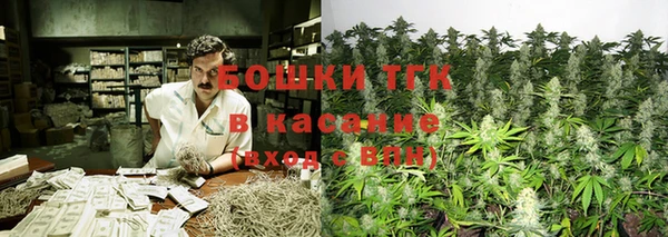 метадон Михайлов