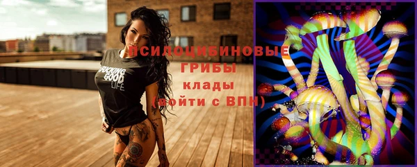 метадон Михайлов