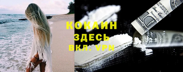 метадон Михайлов