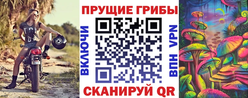 Купить закладки  Карасук  Псилоцибиновые грибы Psilocybe 